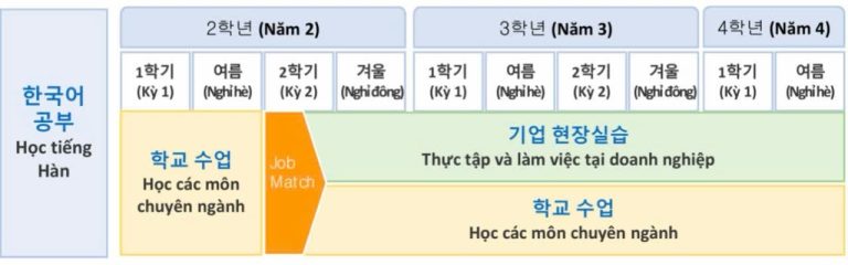 Sơ đồ chương trình đào tạo cho sinh viên hệ chuyển tiếp